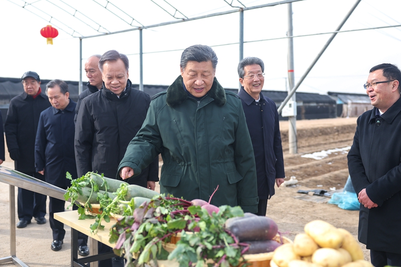 2月1日至2日，中共中央总书记、国家主席、中央军委主席习近平来到天津，看望慰问基层干部群众。这是1日上午，习近平在西青区辛口镇第六埠村考察，实地察看去年洪涝灾害后当地农业生产恢复等情况。