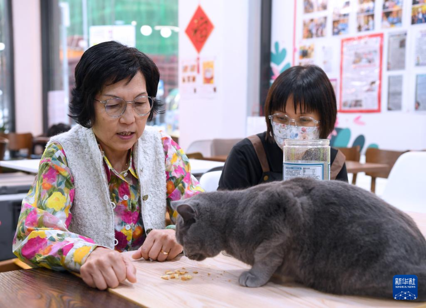 1月15日，宋罗孟君（左）与女儿宋萃媛在工作闲暇给宠物猫喂食。