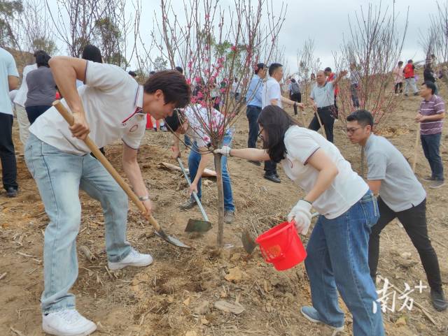邓胜威（左一）参与“绿美湾区·港澳同行”植树活动。