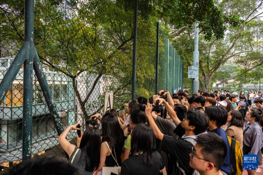 5月2日，游客在香港一处网红景点打卡拍照。